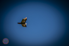 retro-samstag-_72_20230527_1050833643