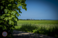 retro-samstag-_92_20230527_1104065248