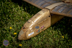 sonntag_12_20230528_1934306232