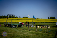 sonntag_20_20230528_1120369822