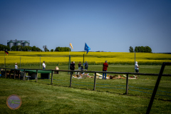 sonntag_24_20230528_1363905628