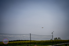 sonntag_31_20230528_1942684689