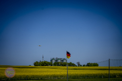 sonntag_33_20230528_1766415083