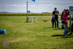 sonntag_37_20230528_1548234242