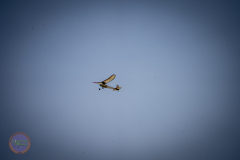 sonntag_43_20230528_2033898175