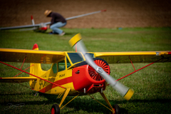 schlepp-sonntag-_37_20220828_1141400142