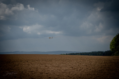 segelflug-2022-_5_20220827_1294486307