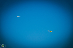 segelflug-sasmstag-_58_20210905_1288001935
