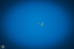 segelflug-sasmstag-_62_20210905_1766661553