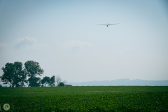 segelflug-sasmstag-_87_20210905_1814097776