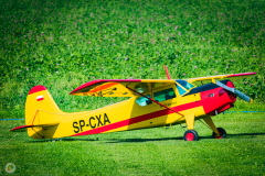 segelflugtreffen-2021-_14_20210903_1578718798