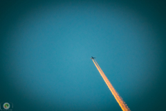 segelflugtreffen-2021-_39_20210903_1205893188