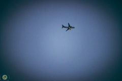 segelflugtreffen-2021-_40_20210903_1705392313