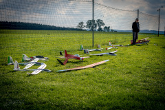 Septemberfliegen