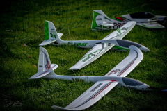 grill-fliegen-_10_20220924_2073722133