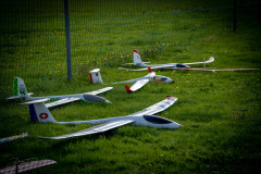 grill-fliegen-_11_20220924_1849119025