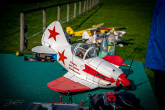 grill-fliegen-_21_20220924_1626190928