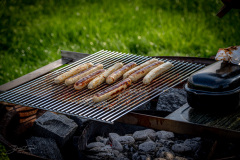 grill-fliegen-_34_20220924_1708548197