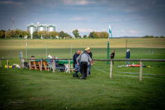 grill-fliegen-_35_20220924_1812092003