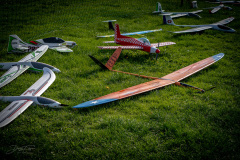 grill-fliegen-_8_20220924_1588958507