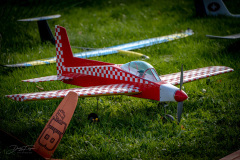 grill-fliegen-_9_20220924_1635402175