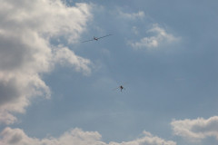 spaetsommerfliegen_15_20140929_1249958880