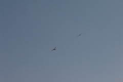 spaetsommerfliegen_22_20140929_1739952908