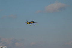 spaetsommerfliegen_25_20140929_1040362818