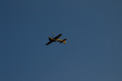 spaetsommerfliegen_27_20140929_1792540780