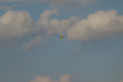 spaetsommerfliegen_28_20140929_2068639731