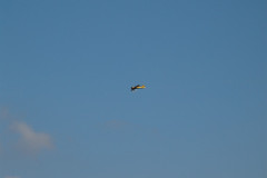 spaetsommerfliegen_33_20140929_1772021360