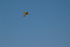 spaetsommerfliegen_34_20140929_1209266425