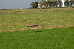 spaetsommerfliegen_4_20140929_1658652631