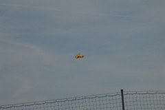 spaetsommerfliegen_55_20140929_1683093878