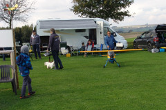 spaetsommerfliegen_5_20140929_1288945002