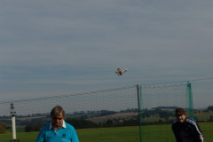 spaetsommerfliegen_65_20140929_1579666638