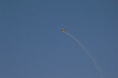 spaetsommerfliegen_66_20140929_1108134677