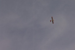 spaetsommerfliegen_67_20140929_1733211895