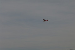 spaetsommerfliegen_69_20140929_1825218187