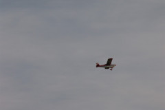spaetsommerfliegen_70_20140929_2002930027