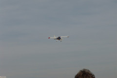spaetsommerfliegen_77_20140929_1015570559