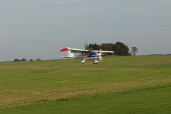 spaetsommerfliegen_80_20140929_2093477333