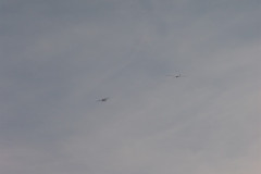 spaetsommerfliegen_84_20140929_1659708271