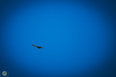 suppenfliegen_19_20211009_1539867329