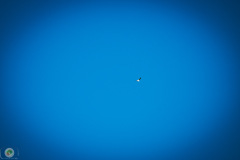 suppenfliegen_28_20211009_1196284562