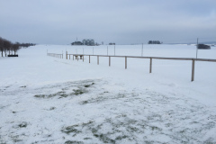 wintergrillen_23_20150207_1639705932