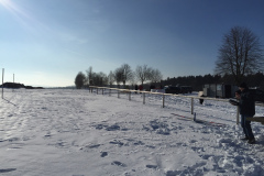 wintergrillen_30_20150207_1654419814