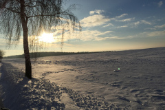 wintergrillen_32_20150207_2092879665