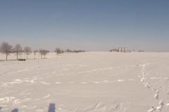 wintergrillen_9_20150207_1241329913
